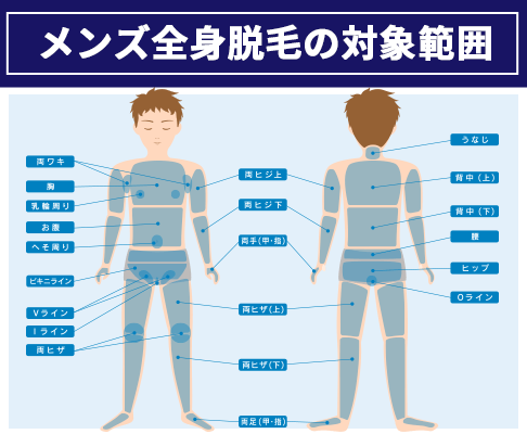 メンズ医療全身脱毛の対象範囲