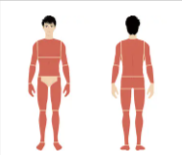 メンズリゼの全身脱毛の施術範囲を表す画像
