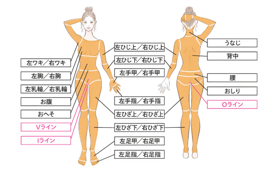レジーナクリニックの施術範囲