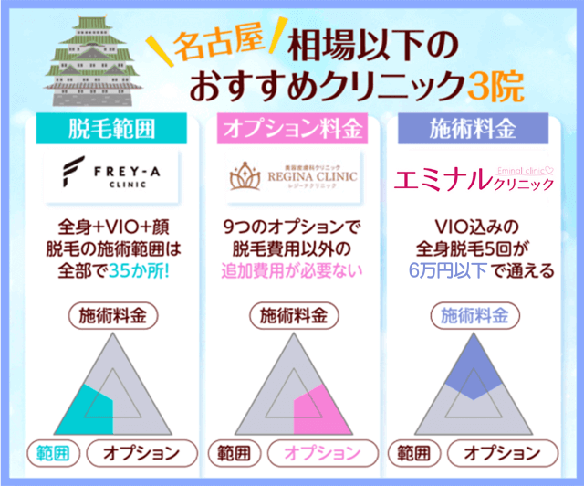 名古屋の相場以下のおすすめクリニック3院脱毛範囲・施術料金・オプションで比較した図形
