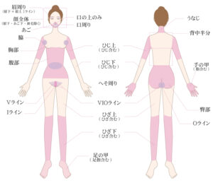 麗ビューティ―皮膚科クリニックの施術範囲