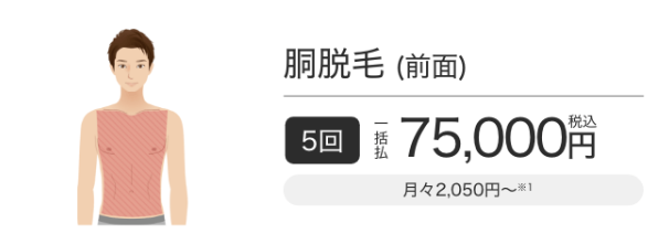 メンズエミナルクリニックの胴脱毛（前面）