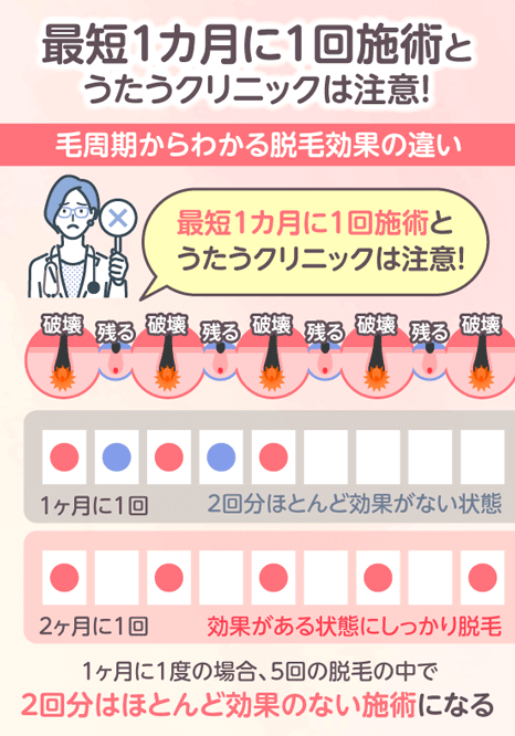 医療脱毛の施術間隔が1ヶ月と2カ月の場合の毛周期からわかる脱毛効果の違いを表した画像