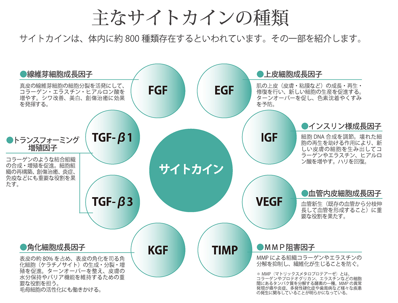 ヒト骨髄幹細胞培養液「サイトプロ」に含まれるサイトカインの種類