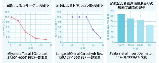 お肌とコラーゲン（ベビーコラーゲン）について