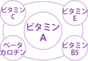 肌トラブルの80％は紫外線から