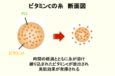 世界初の技術！ビタミンを練り込んだ溶ける糸