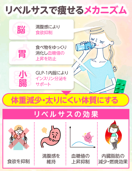 効果のメカニズムについて