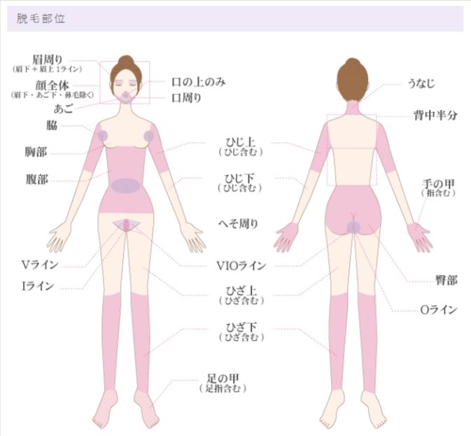 麗ビューティークリニックの脱毛部位