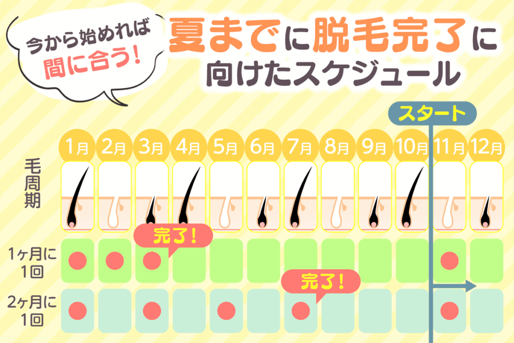 夏までに医療脱毛を完了させるための施術スケジュール